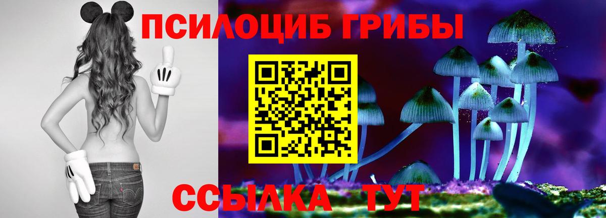 Галлюциногенные грибы MAGIC MUSHROOMS  Галлюциногенные грибы Magic Shrooms  Янаул  Вход с VPN 
